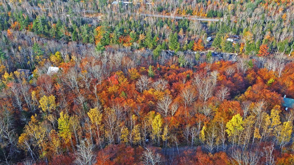 Photo of 167 Iron Bridge Road, Kingfield, ME 04947 (MLS # 1575811)