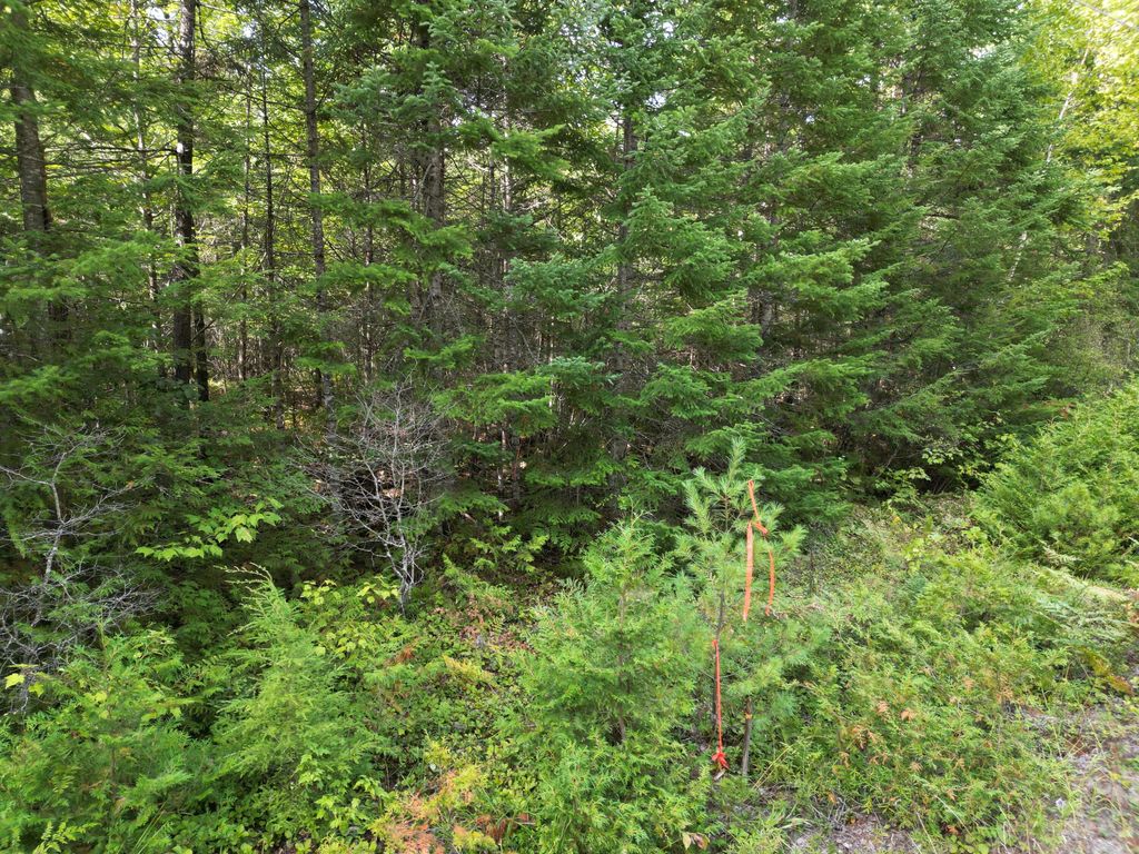Photo of Lot 39 Seboeis Road, Howland, ME 04448 (MLS # 1641981)