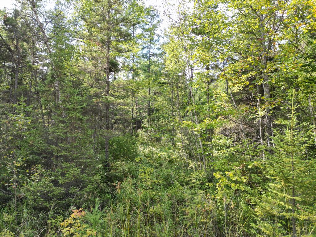 Photo of Lot 39 Seboeis Road, Howland, ME 04448 (MLS # 1641981)