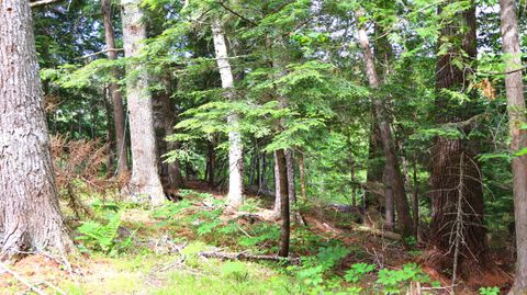 Photo of M3L51,52 Airline Road, Amherst, ME 04605 (MLS # 1640223)