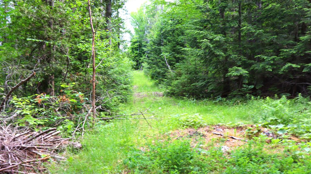 Photo of M3L51,52 Airline Road, Amherst, ME 04605 (MLS # 1640223)
