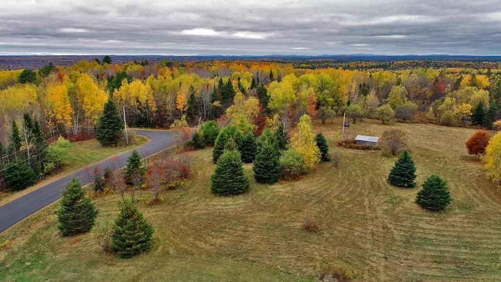 Photo of 483 Harris Hill Road, Weston, ME 04424 (MLS # 1641773)