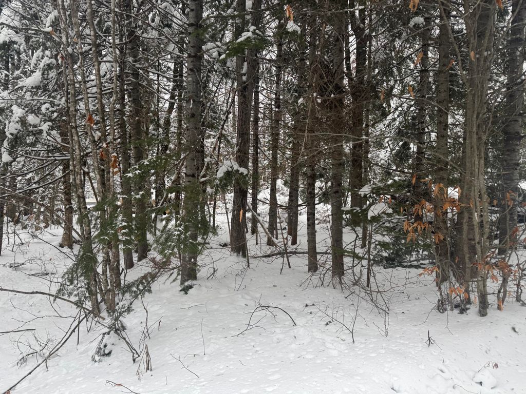 Photo of 291 New Sweden Road, New Sweden, ME 04762 (MLS # 1649470)