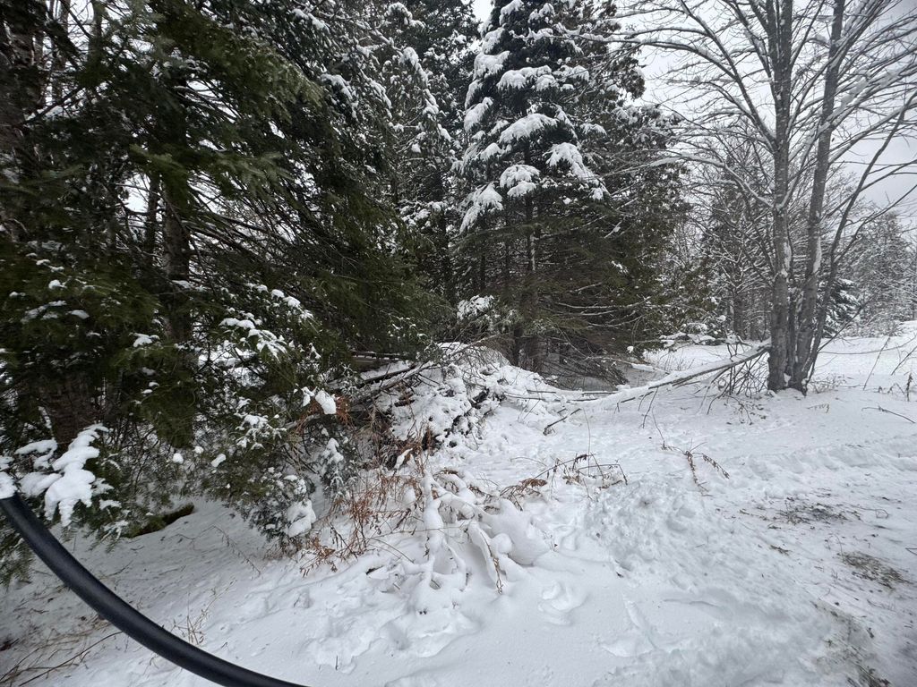 Photo of 291 New Sweden Road, New Sweden, ME 04762 (MLS # 1649470)