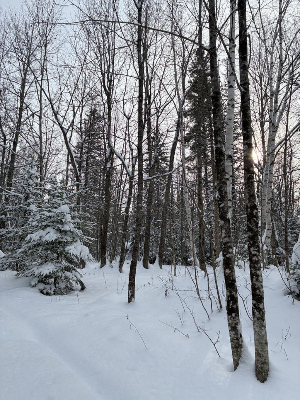 Photo of Lot 4 off Taylor Hill Road, Strong, ME 04983 (MLS # 1645332)