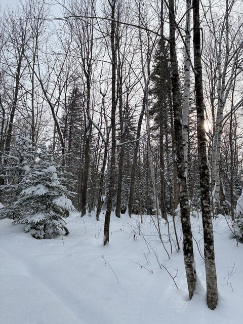 Photo of Lot 4 off Taylor Hill Road, Strong, ME 04983 (MLS # 1645332)