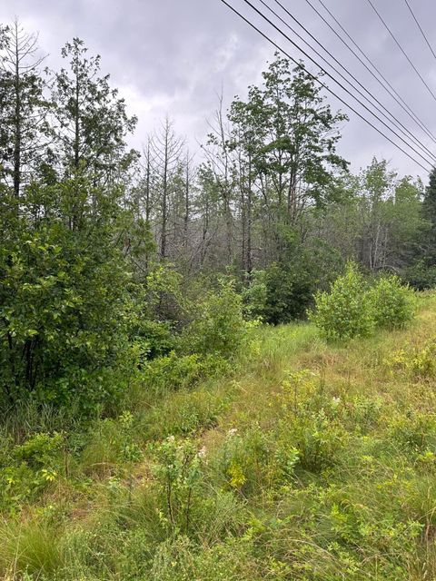 Photo of Lot 60 Tenan Lane, Cherryfield, ME 04622 (MLS # 1655319)