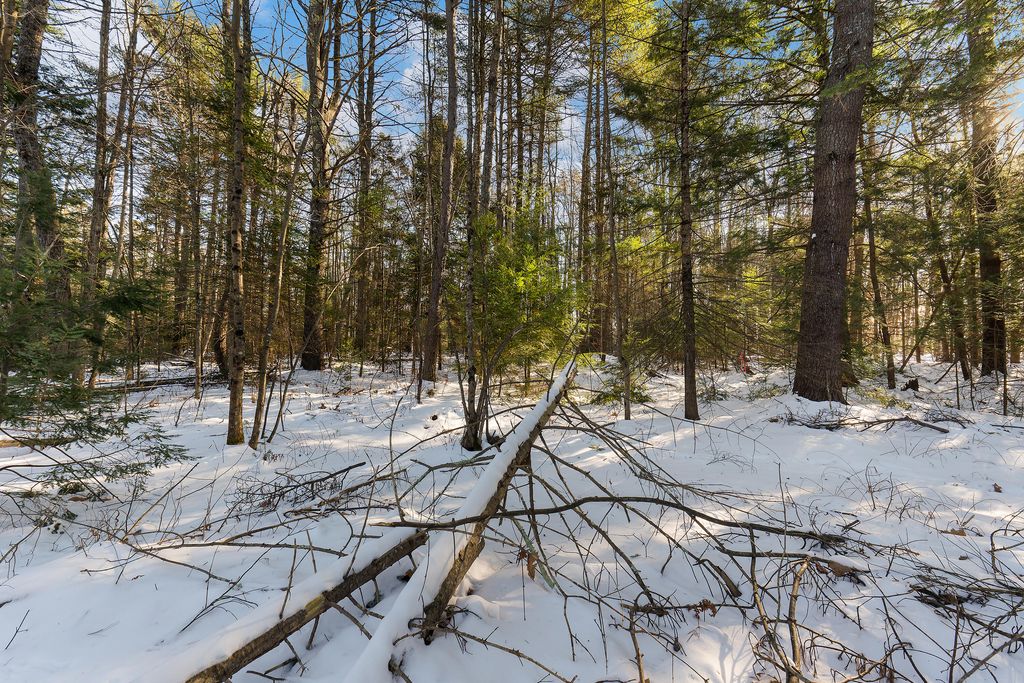 Photo of TBD Apple Brook Drive, North Yarmouth, ME 04097 (MLS # 1649208)