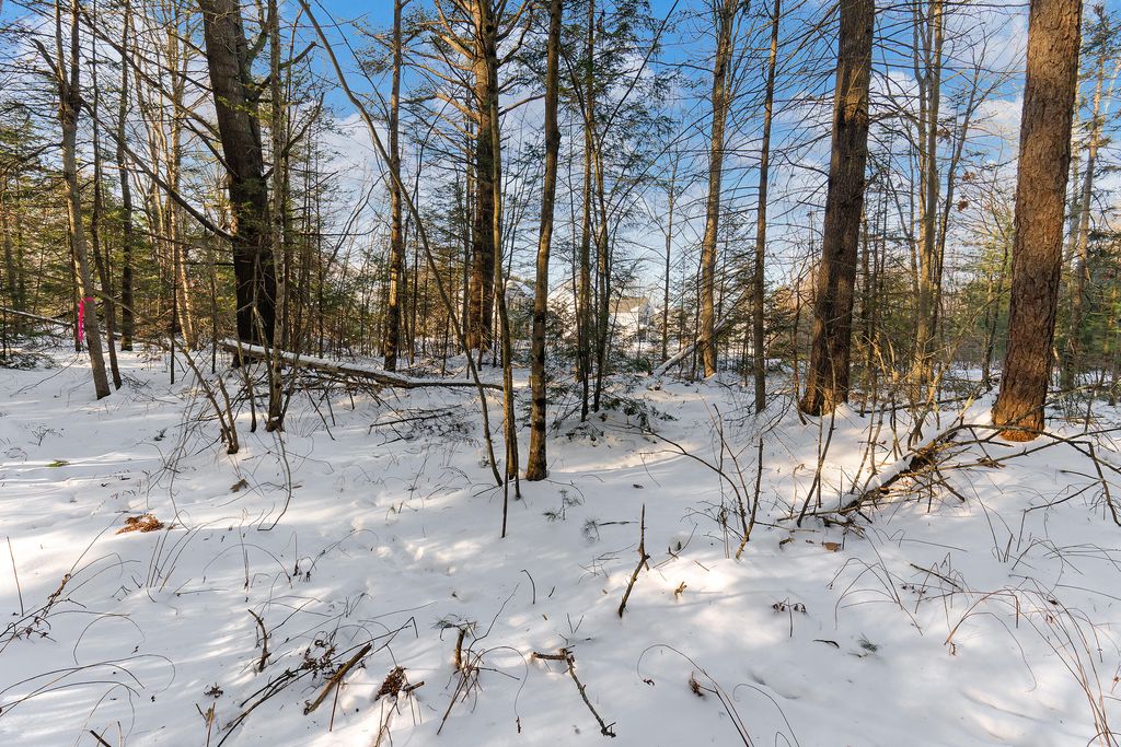 Photo of TBD Apple Brook Drive, North Yarmouth, ME 04097 (MLS # 1649208)