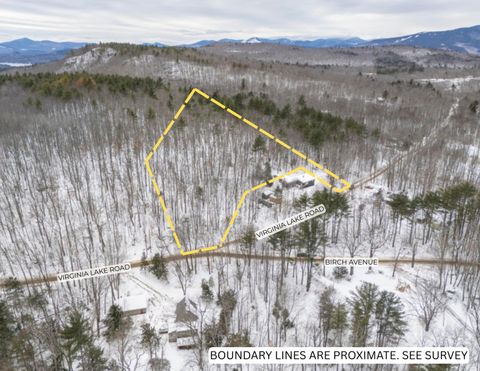 Photo of 20 Virginia Lake Road, Stoneham, ME 04231 (MLS # 1646696)
