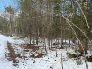 Photo of Lot 068002 Shore Road, Bremen, ME 04551 (MLS # 1655348)