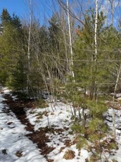 Photo of Lot 068002 Shore Road, Bremen, ME 04551 (MLS # 1655348)