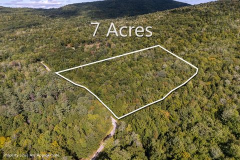 Photo of Lot 33.11 Picnic Hill Road, Albany Twp, ME 04217 (MLS # 1602559) Photo of Lot 33.11 Picnic Hill Road, Albany Twp, ME 04217 (MLS # 1602559)