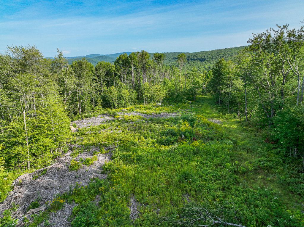 Photo of 0 Swain Road, Rumford, ME 04276 (MLS # 1633923)