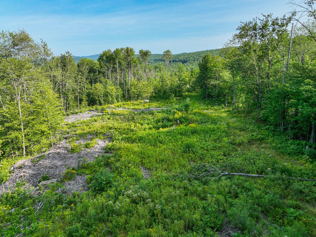 Photo of 0 Swain Road, Rumford, ME 04276 (MLS # 1633923)
