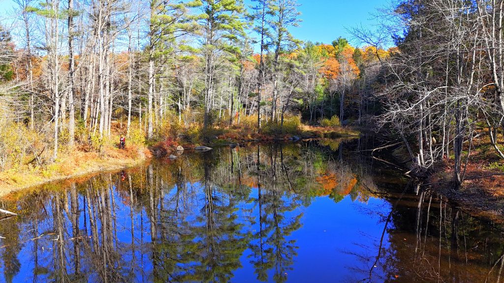 Photo of 17 Treetop Lane, Jay, ME 04239 (MLS # 1639689)