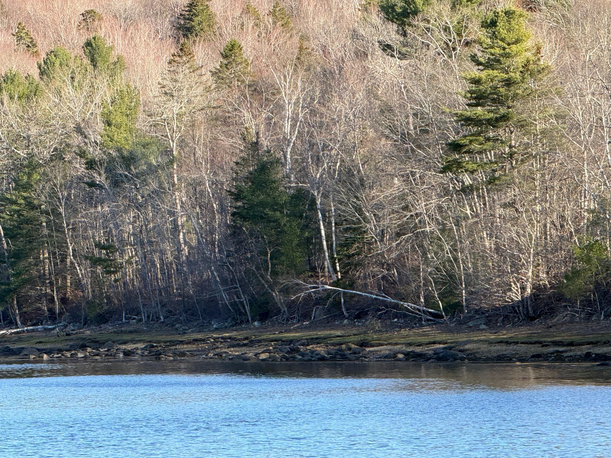 16A Newbury Neck Road