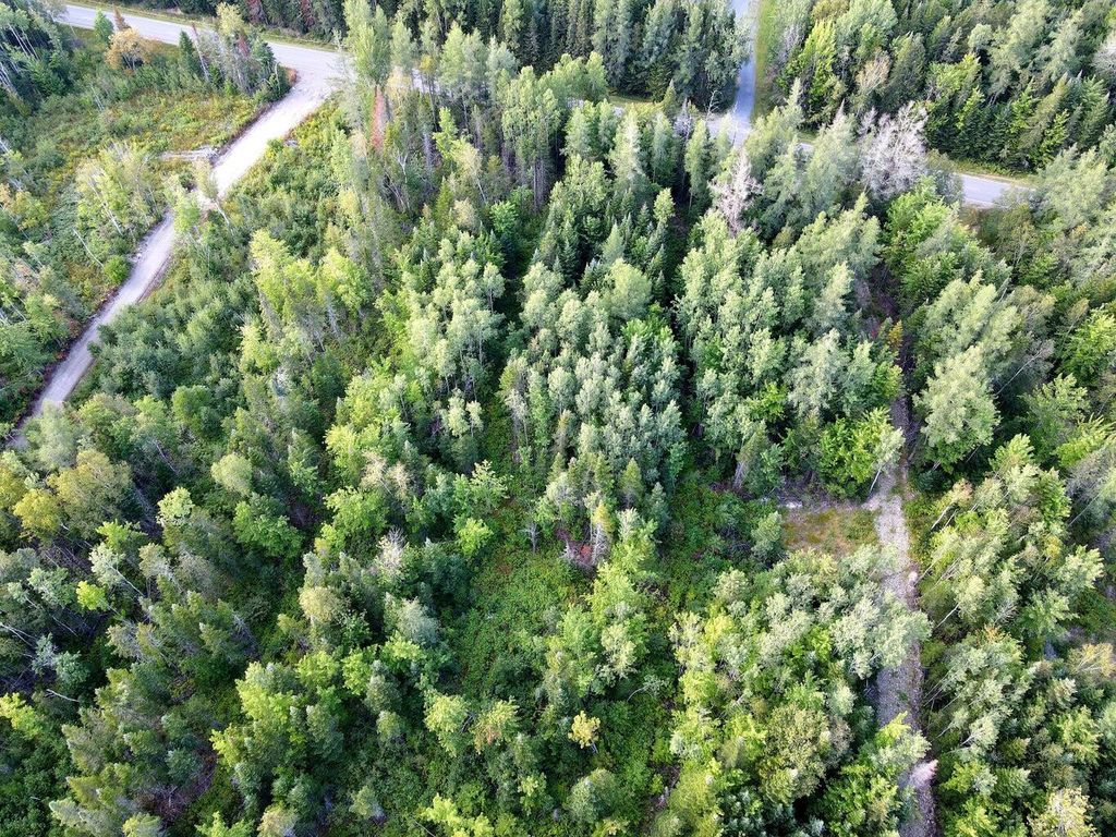 Photo of L37&amp;72 Beaulieu Road, Connor Twp, ME 04736 (MLS # 1654251)