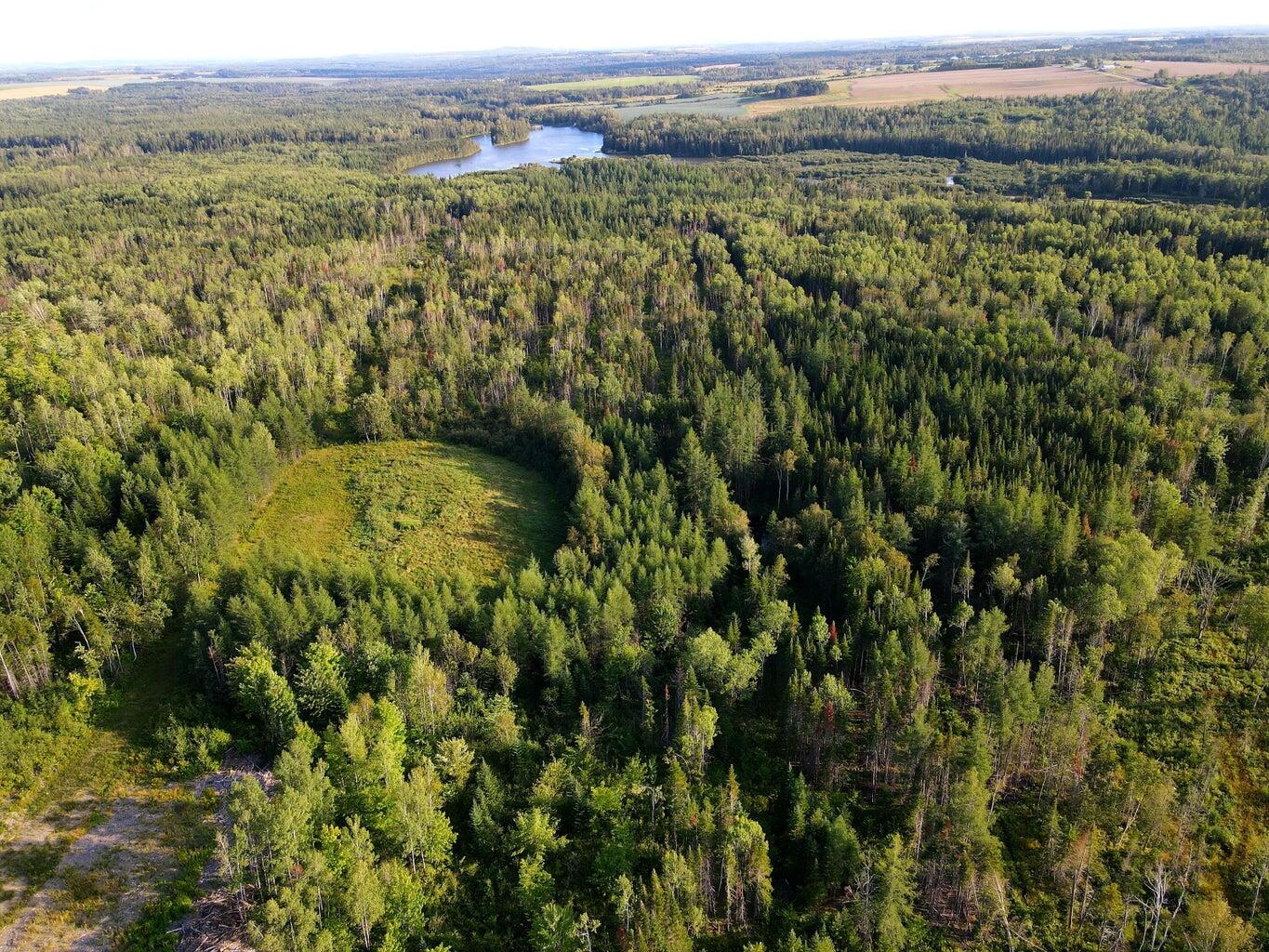 L37&72 Beaulieu Road