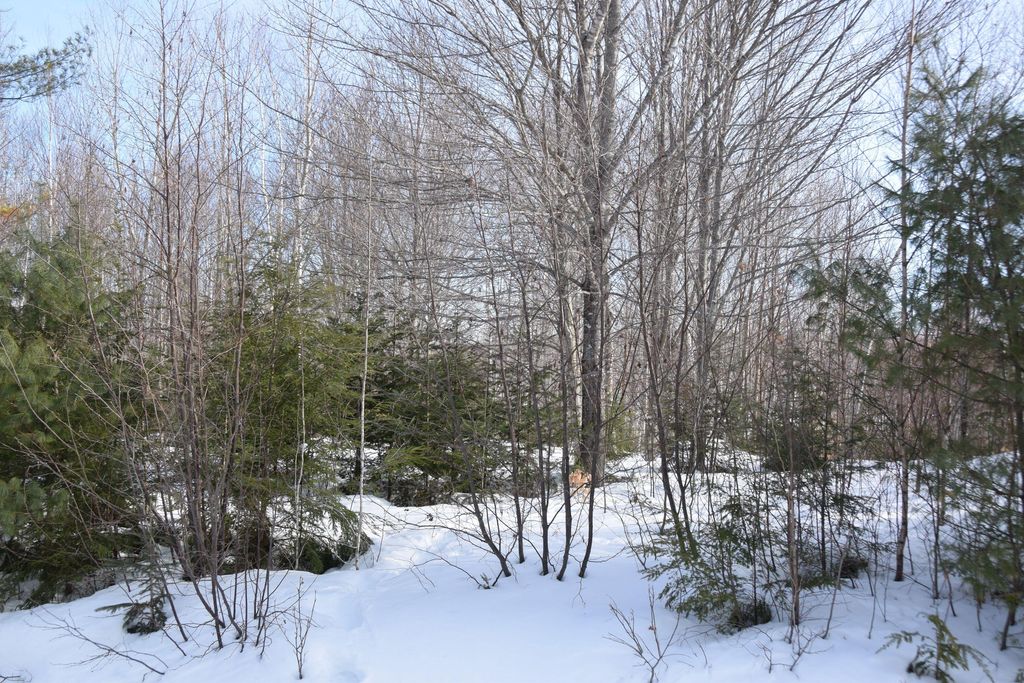 Photo of M7 L13-1 Pine Bluff Road, Embden, ME 04958 (MLS # 1652325)