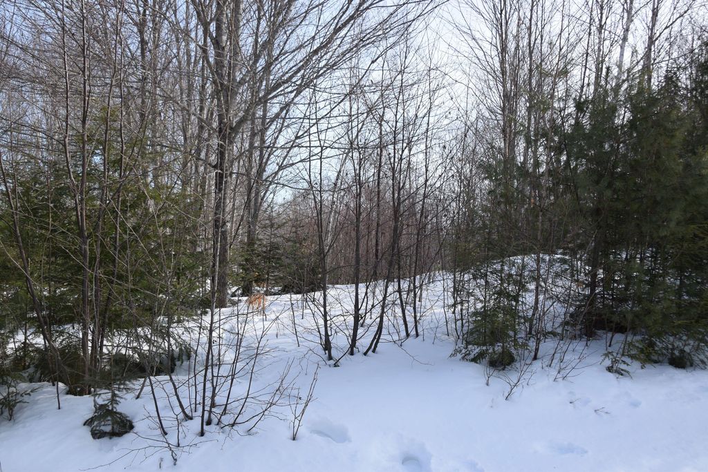 Photo of M7 L13-1 Pine Bluff Road, Embden, ME 04958 (MLS # 1652325)