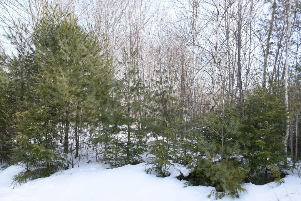 Photo of M7 L13-1 Pine Bluff Road, Embden, ME 04958 (MLS # 1652325)