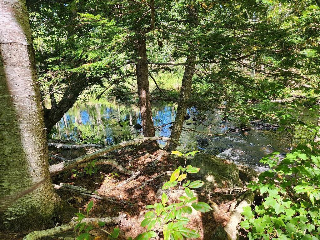 Photo of 28 Cemetery Road, Montville, ME 04941 (MLS # 1649298)