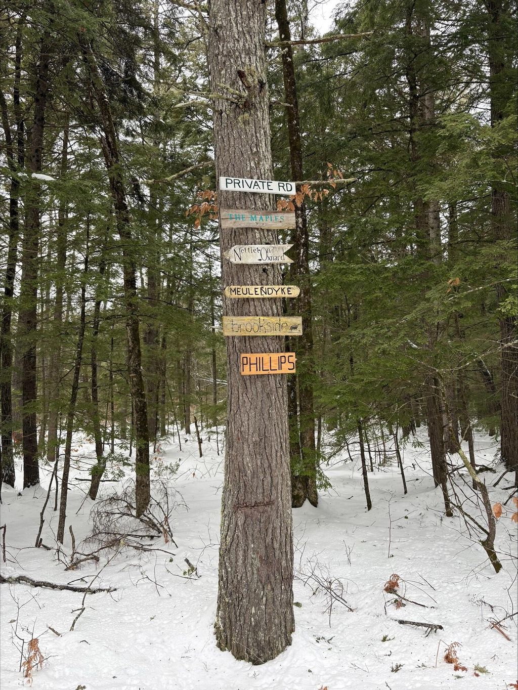 Photo of # 25-201 Two Ponds Rd, Bridgton, ME 04009 (MLS # 1650233)