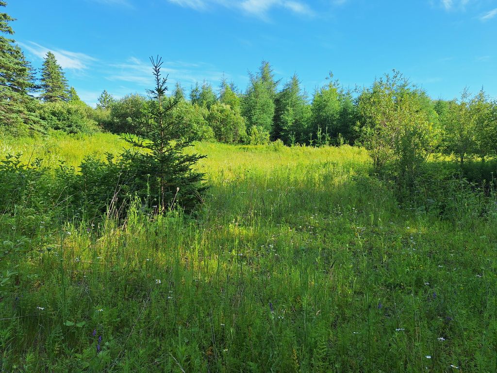 Photo of Lot 36-D Grimes Road, Caribou, ME 04736 (MLS # 1642570)