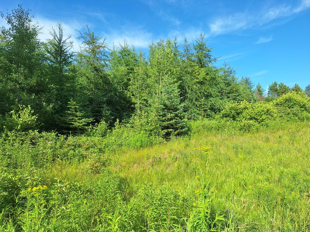 Photo of Lot 36-D Grimes Road, Caribou, ME 04736 (MLS # 1642570)