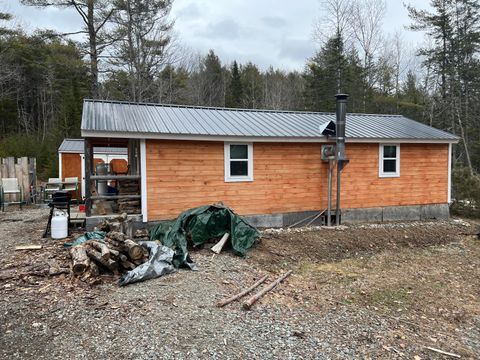 Photo of 57 Dennis Road, Orland, ME 04472 (MLS # 1655217)