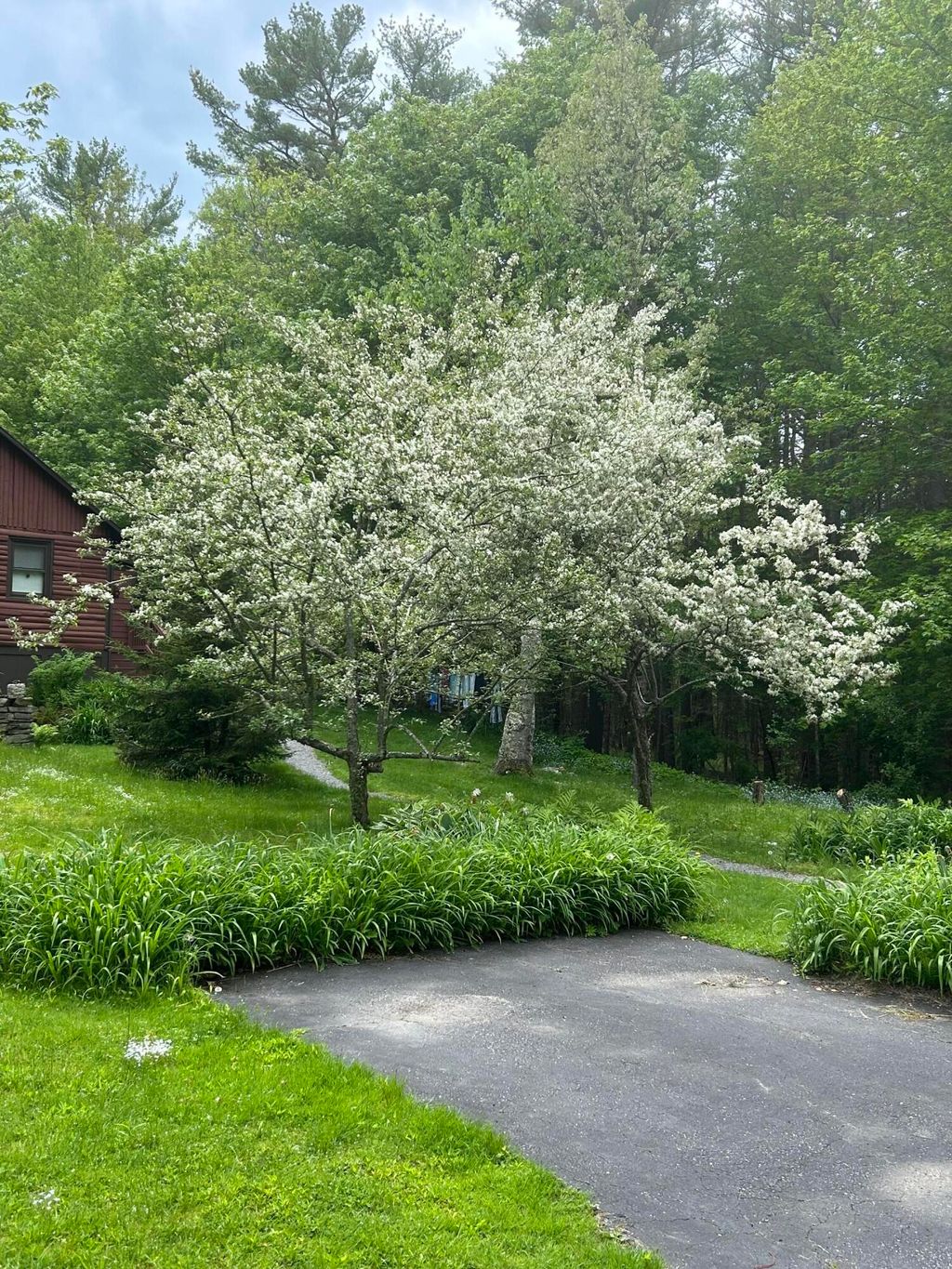 Photo of 260 Coombs Road, Brunswick, ME 04011 (MLS # 1626974)