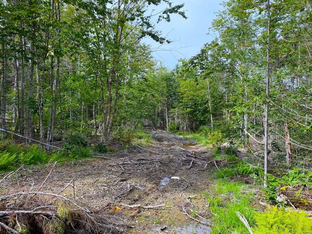 Photo of Lot128C Love Lake Road, Crawford, ME 04694 (MLS # 1655985)