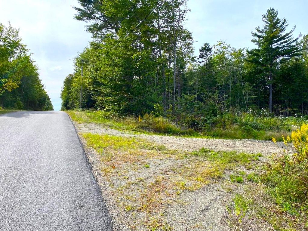 Photo of Lot128C Love Lake Road, Crawford, ME 04694 (MLS # 1655985)