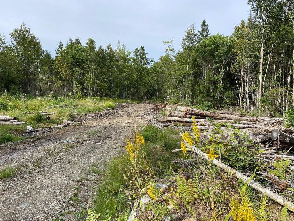 Photo of Lot128C Love Lake Road, Crawford, ME 04694 (MLS # 1655985)