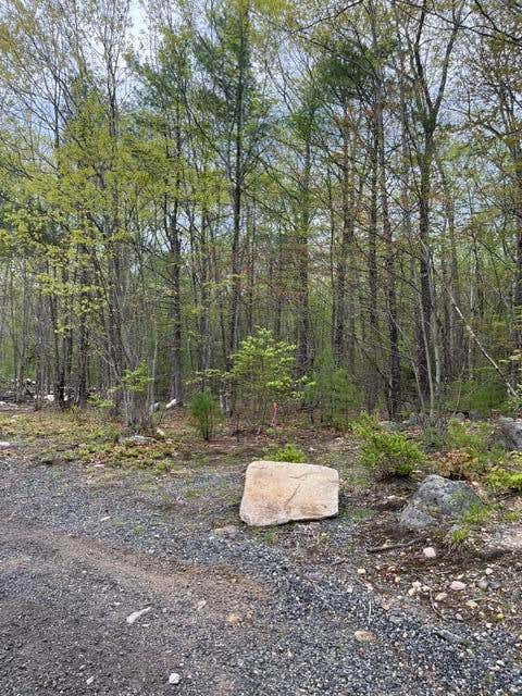 Photo of Parcel A Old Farnham Road, Alfred, ME 04002 (MLS # 1662641)