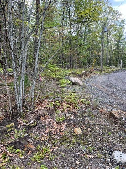 Photo of Parcel A Old Farnham Road, Alfred, ME 04002 (MLS # 1662641)