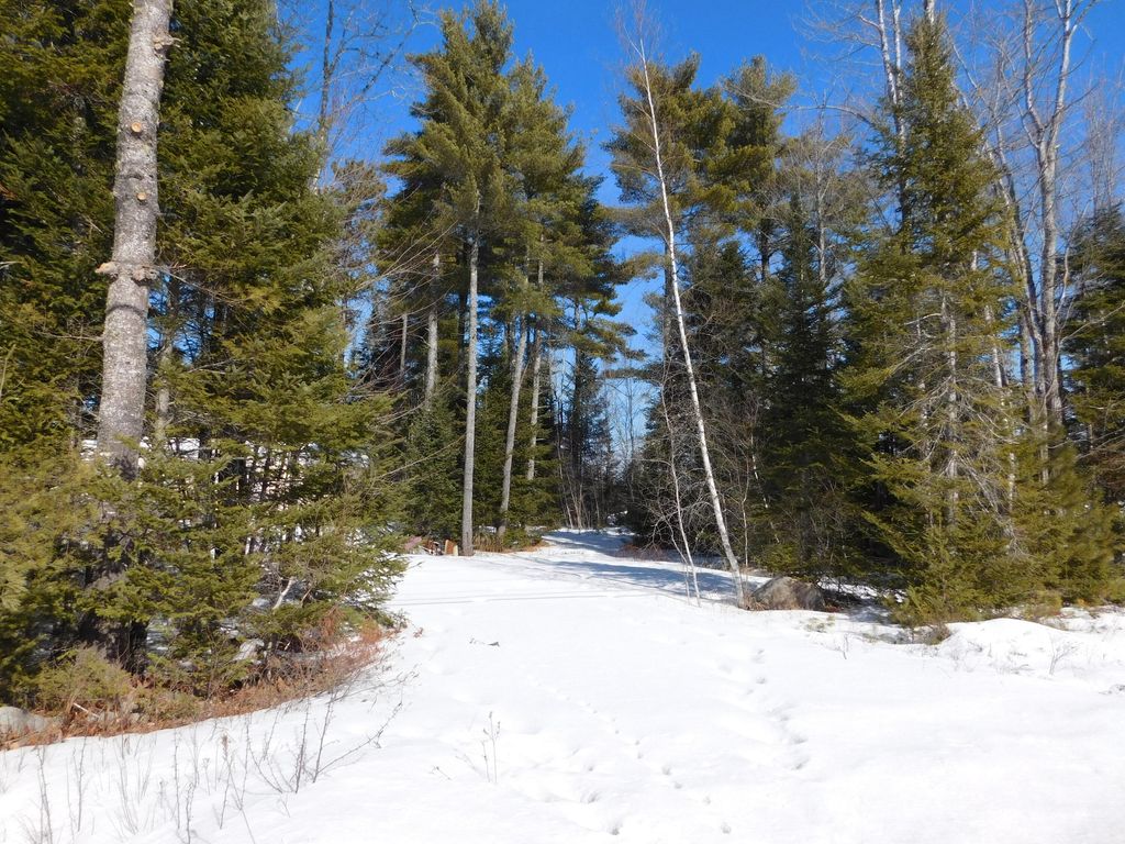 Photo of 638 Greenfield Road, Greenbush, ME 04418 (MLS # 1652073)