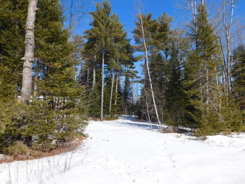 Photo of 638 Greenfield Road, Greenbush, ME 04418 (MLS # 1652073)