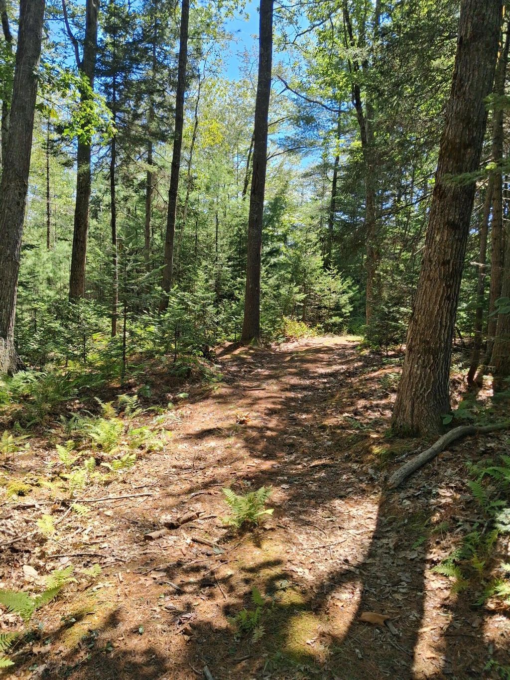 Photo of 1.4 1.5 Spruce Ridge Subdivision, Edgecomb, ME 04556 (MLS # 1639862)
