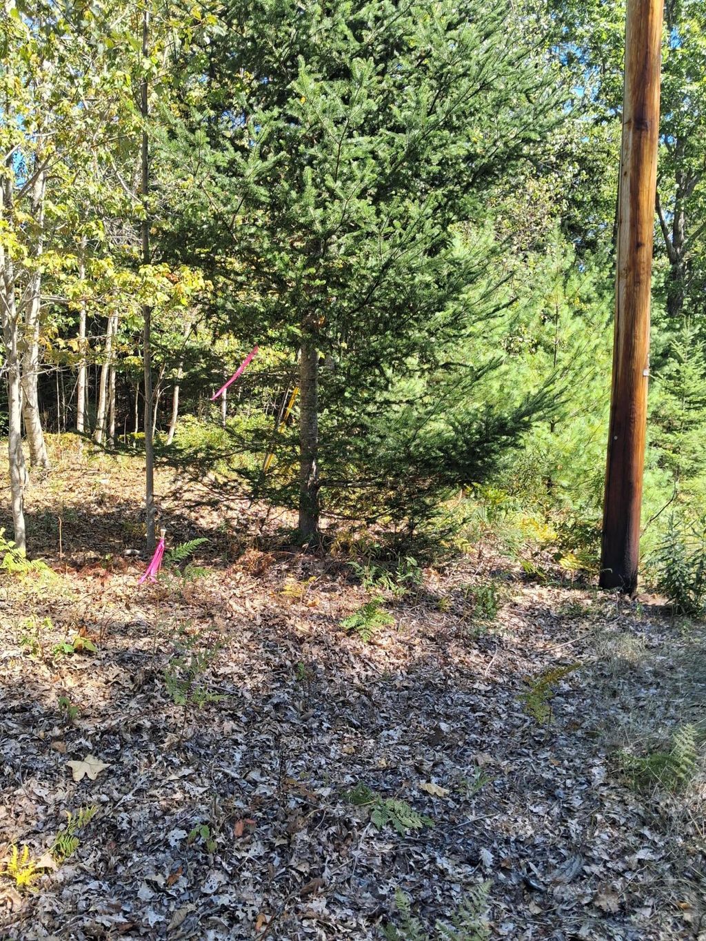 Photo of 1.4 1.5 Spruce Ridge Subdivision, Edgecomb, ME 04556 (MLS # 1639862)