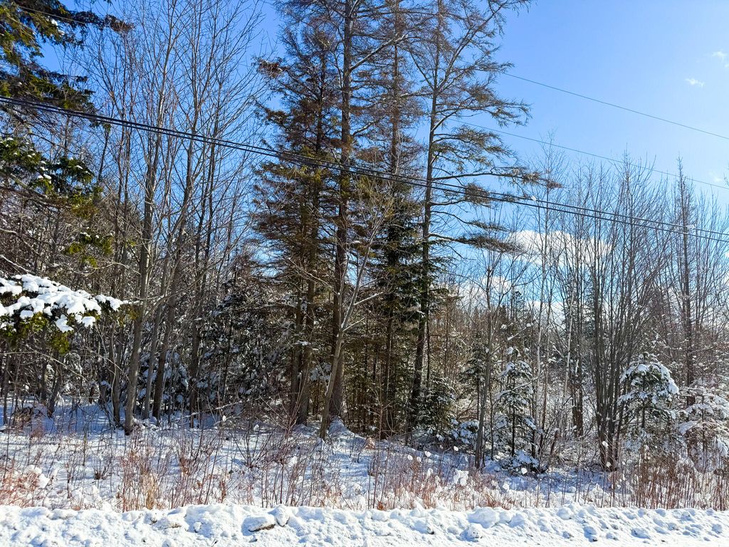 Photo of 17 Fremont's Corner, Sullivan, ME 04664 (MLS # 1650215)