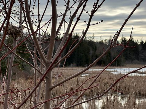 Photo of Lot #10 Ridge Road, Saint George, ME 04860 (MLS # 1655602)