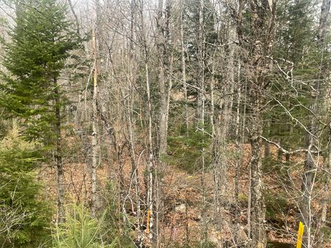 Photo of Lot 22 Roxbury Notch road Road, Roxbury, ME 04275 (MLS # 1610203)