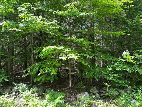 Photo of 0 Dingley Road, Bowdoinham, ME 04008 (MLS # 1654897)