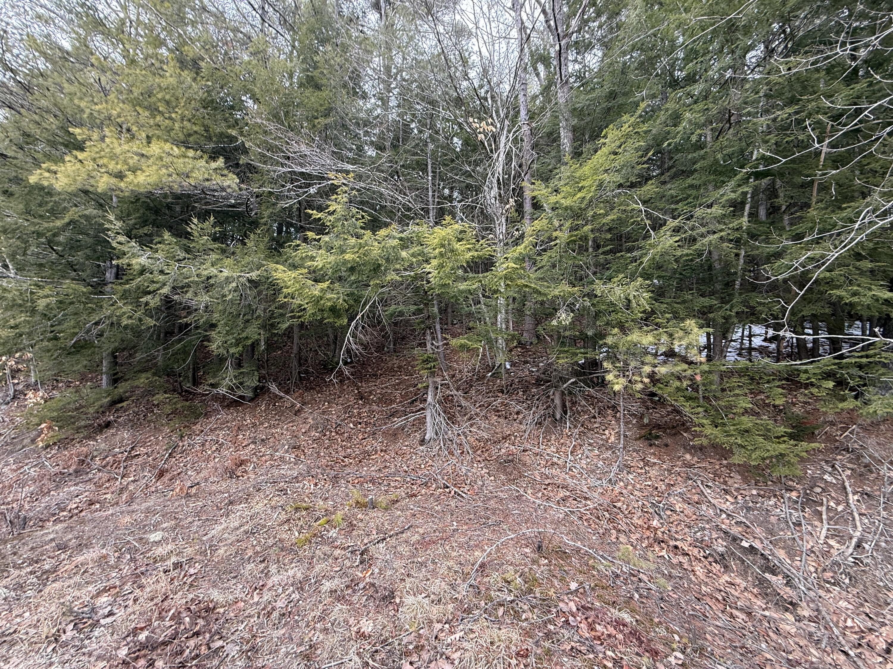 M43 L6 Shady Nook Road
