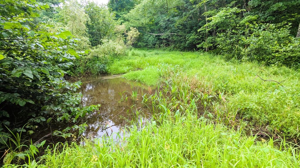 Photo of 29 Kents Hill Road, Wayne, ME 04284 (MLS # 1658469)
