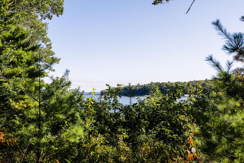 Photo of 1022 Surry Road, Surry, ME 04684 (MLS # 1641604)