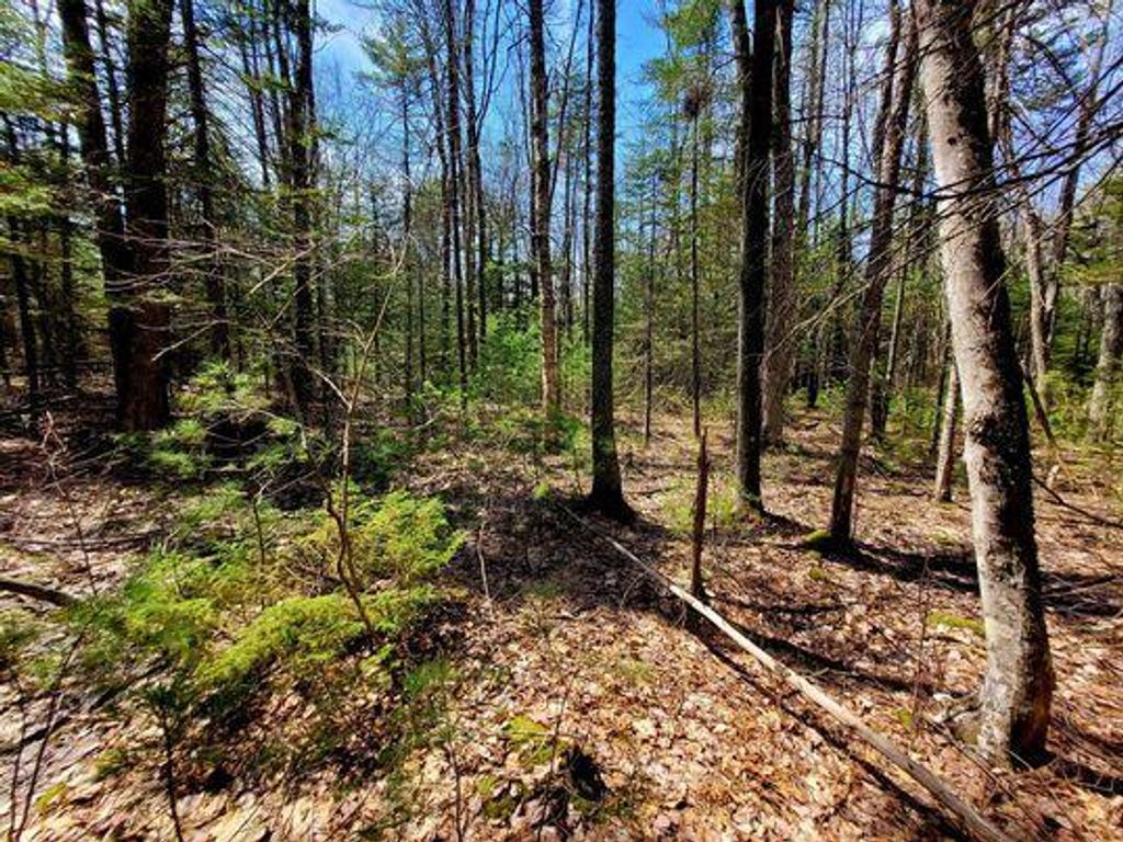 Photo of Lot #11B Sanford Road, Wells, ME 04090 (MLS # 1641575)