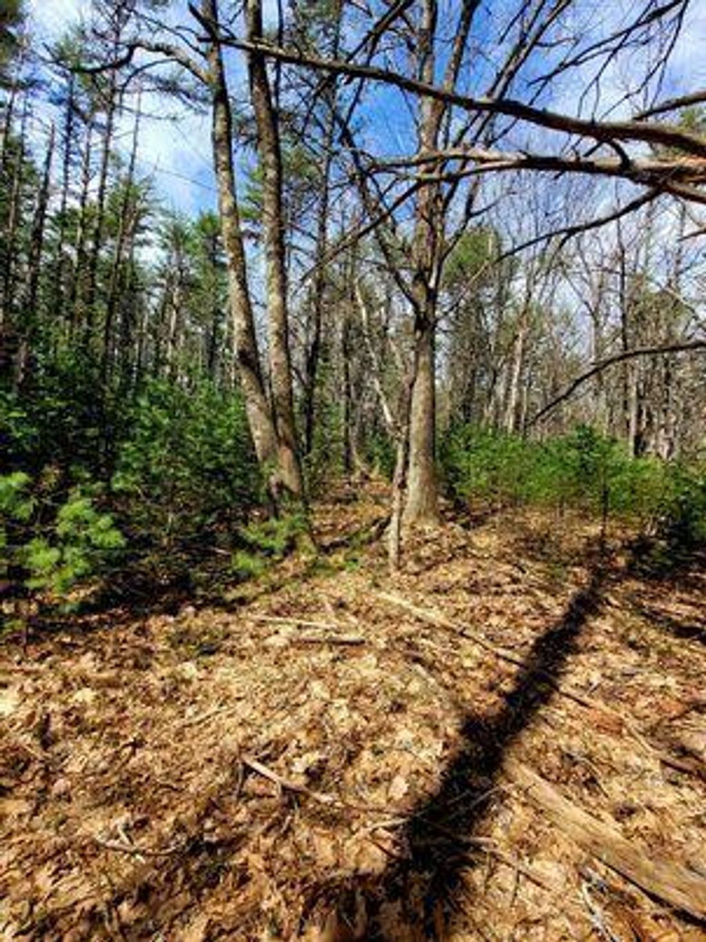 Photo of Lot #11B Sanford Road, Wells, ME 04090 (MLS # 1641575)
